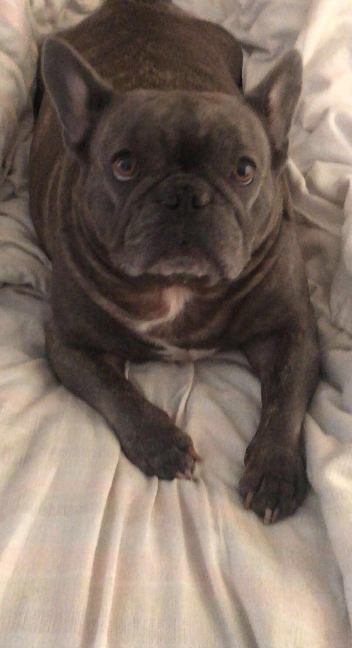 lulu Big 5
