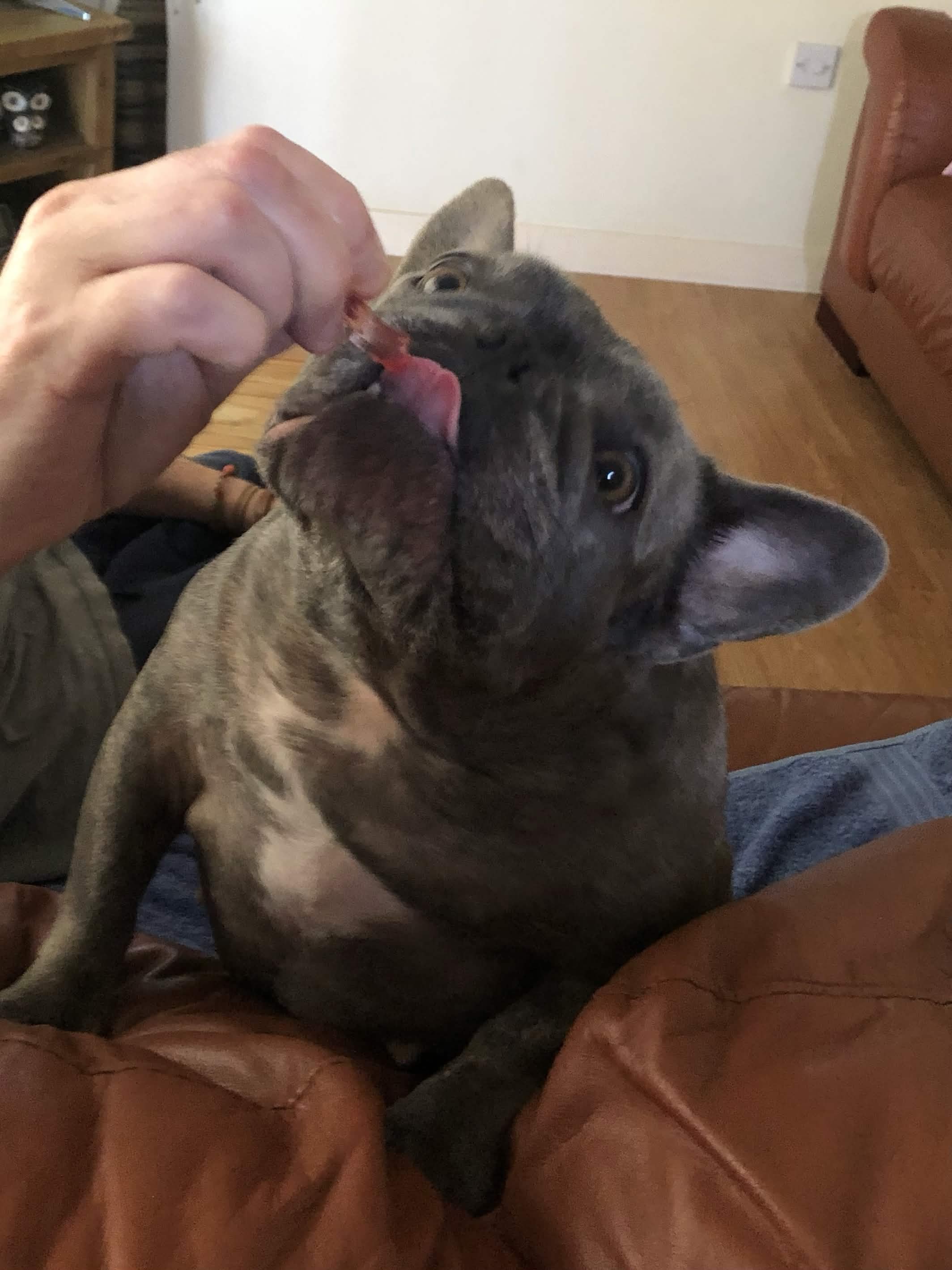 lulu Big 6